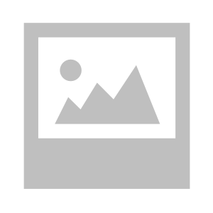 Image Access Portal Development: Development project for Manufacturing by LitSpark